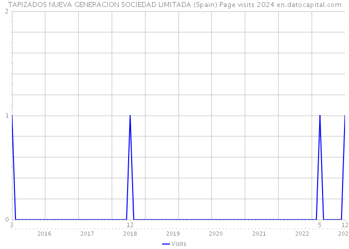 TAPIZADOS NUEVA GENERACION SOCIEDAD LIMITADA (Spain) Page visits 2024 