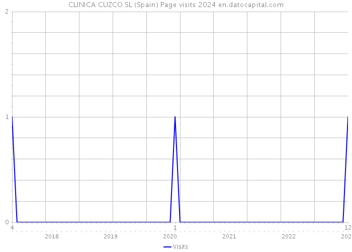 CLINICA CUZCO SL (Spain) Page visits 2024 