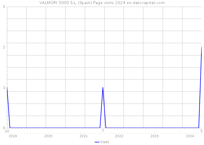 VALMORI 3000 S.L. (Spain) Page visits 2024 