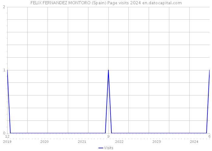 FELIX FERNANDEZ MONTORO (Spain) Page visits 2024 