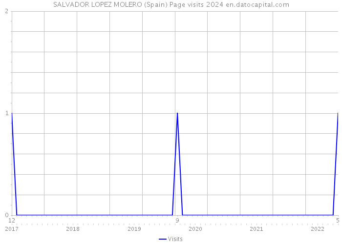 SALVADOR LOPEZ MOLERO (Spain) Page visits 2024 