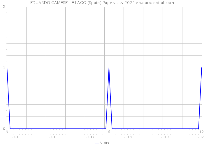 EDUARDO CAMESELLE LAGO (Spain) Page visits 2024 