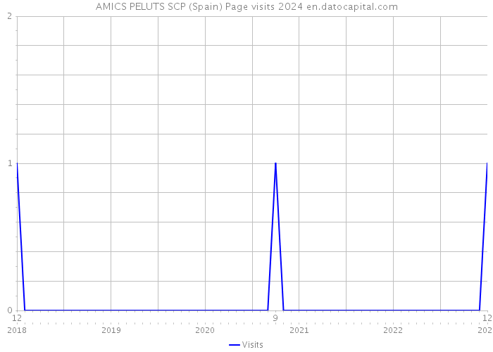 AMICS PELUTS SCP (Spain) Page visits 2024 