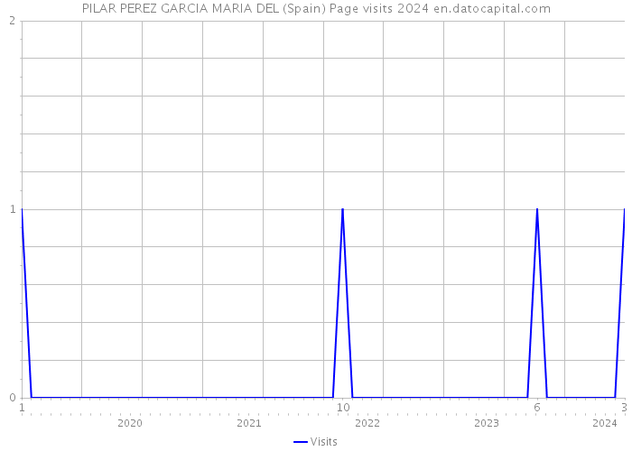 PILAR PEREZ GARCIA MARIA DEL (Spain) Page visits 2024 