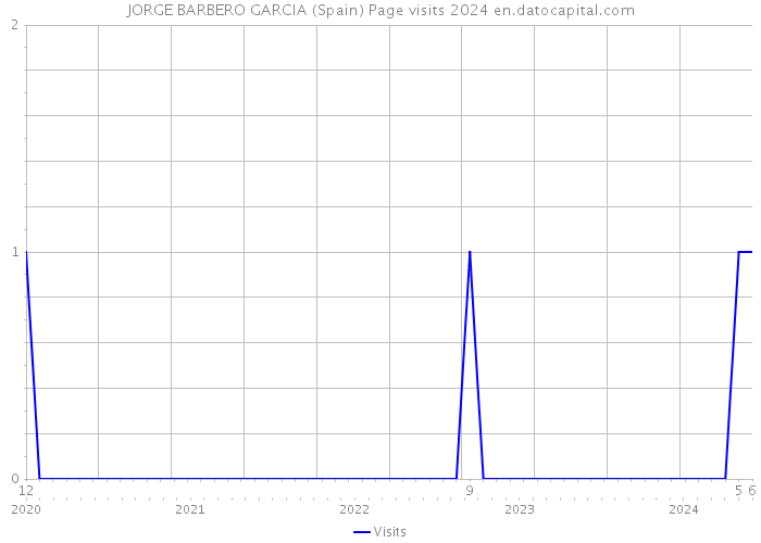 JORGE BARBERO GARCIA (Spain) Page visits 2024 