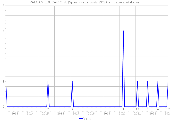 PALCAM EDUCACIO SL (Spain) Page visits 2024 