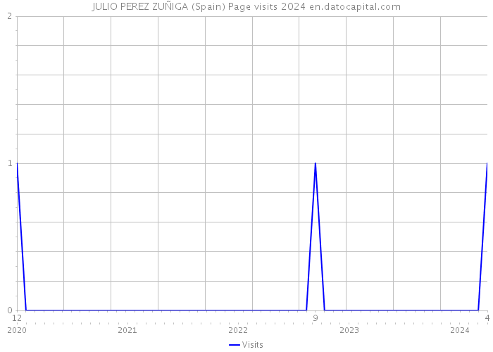 JULIO PEREZ ZUÑIGA (Spain) Page visits 2024 