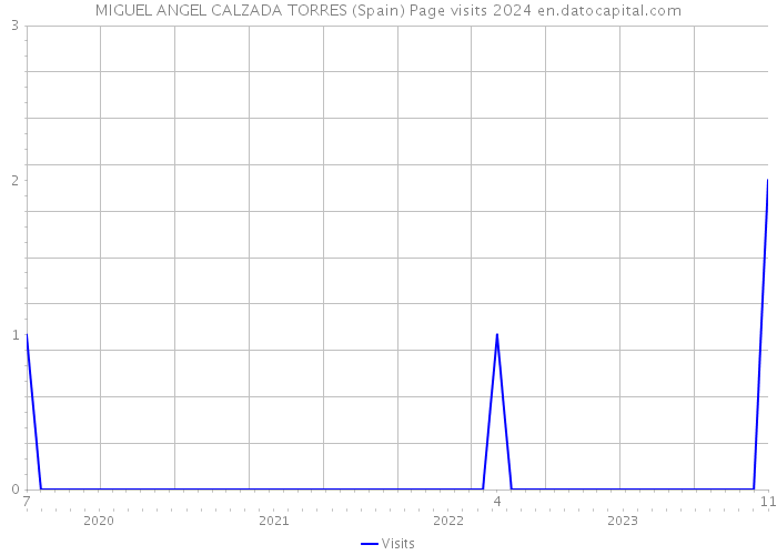 MIGUEL ANGEL CALZADA TORRES (Spain) Page visits 2024 
