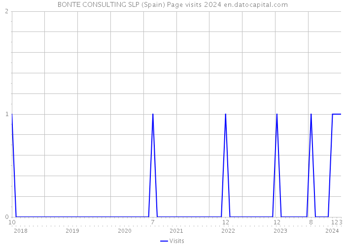 BONTE CONSULTING SLP (Spain) Page visits 2024 