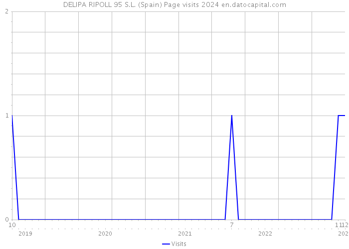 DELIPA RIPOLL 95 S.L. (Spain) Page visits 2024 