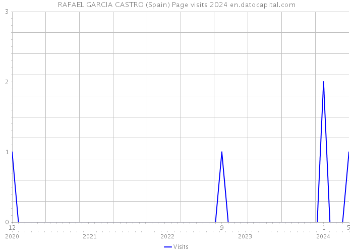 RAFAEL GARCIA CASTRO (Spain) Page visits 2024 