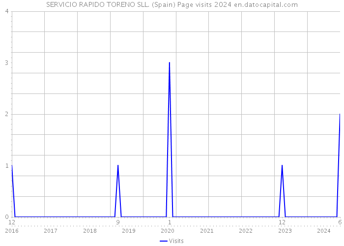 SERVICIO RAPIDO TORENO SLL. (Spain) Page visits 2024 