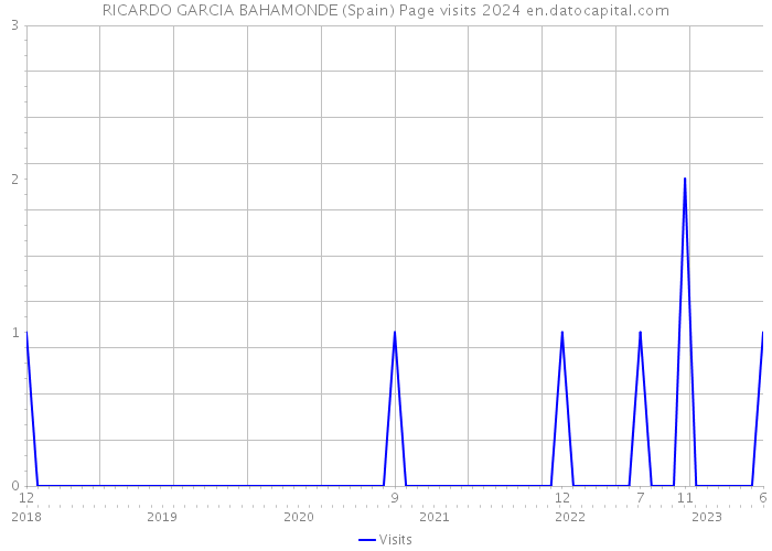 RICARDO GARCIA BAHAMONDE (Spain) Page visits 2024 