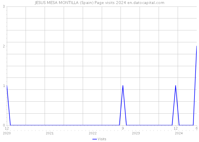 JESUS MESA MONTILLA (Spain) Page visits 2024 