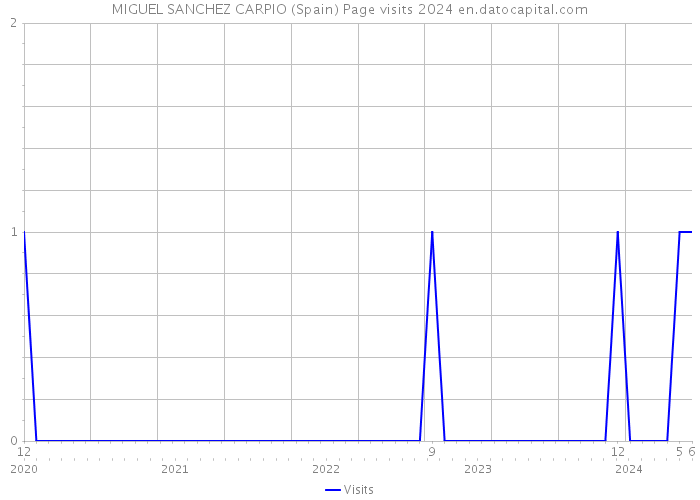 MIGUEL SANCHEZ CARPIO (Spain) Page visits 2024 