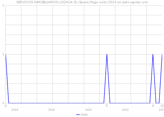 SERVICIOS INMOBILIARIOS LOIZAGA SL (Spain) Page visits 2024 