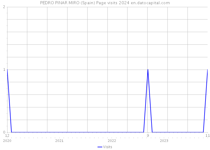 PEDRO PINAR MIRO (Spain) Page visits 2024 