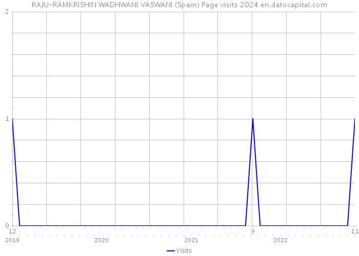 RAJU-RAMKRISHIN WADHWANI VASWANI (Spain) Page visits 2024 