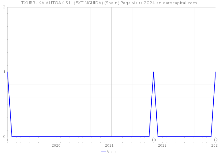 TXURRUKA AUTOAK S.L. (EXTINGUIDA) (Spain) Page visits 2024 