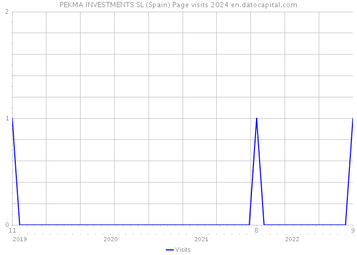 PEKMA INVESTMENTS SL (Spain) Page visits 2024 