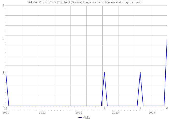 SALVADOR REYES JORDAN (Spain) Page visits 2024 