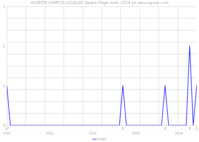 VICENTE CAMPOS AGUILAR (Spain) Page visits 2024 