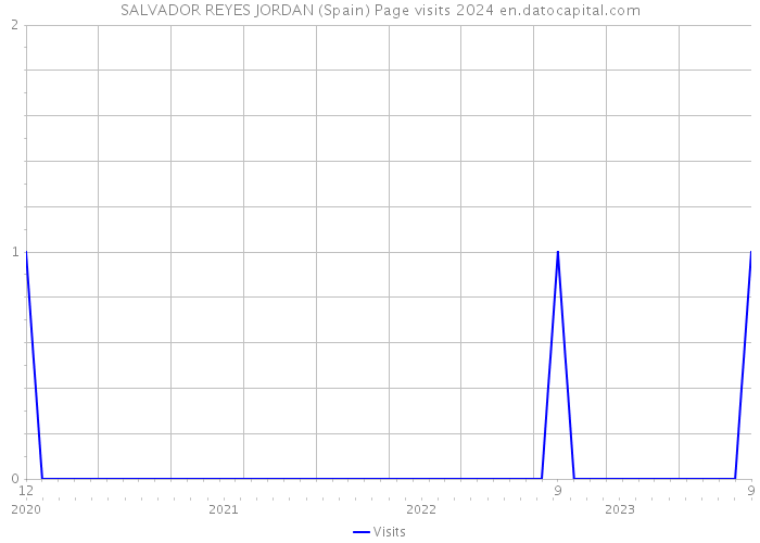 SALVADOR REYES JORDAN (Spain) Page visits 2024 