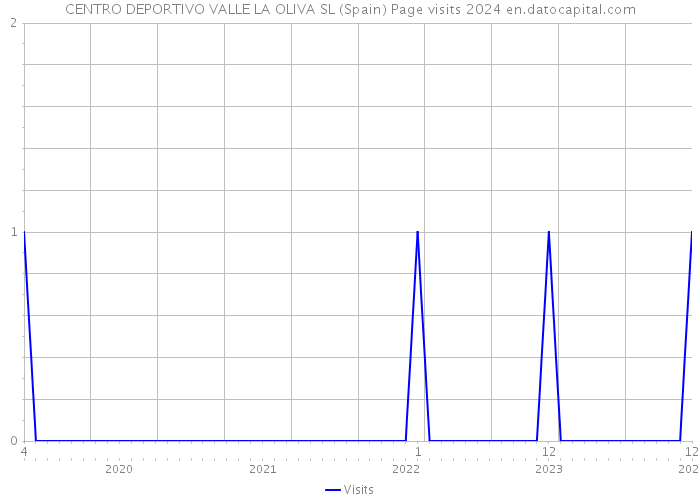 CENTRO DEPORTIVO VALLE LA OLIVA SL (Spain) Page visits 2024 