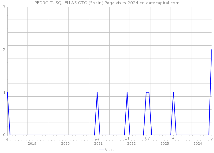 PEDRO TUSQUELLAS OTO (Spain) Page visits 2024 