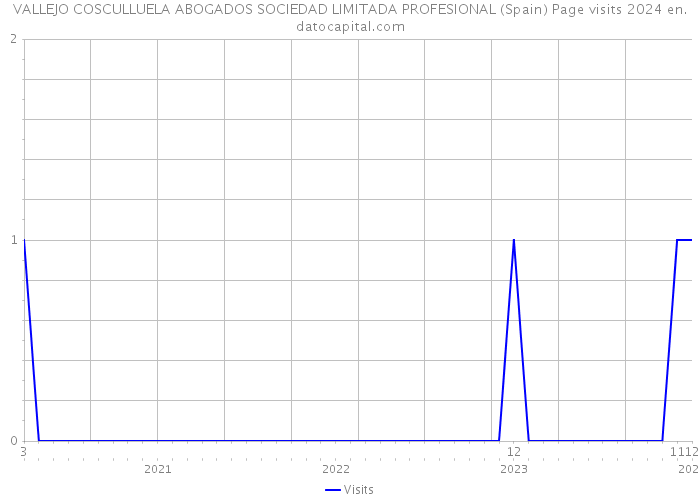 VALLEJO COSCULLUELA ABOGADOS SOCIEDAD LIMITADA PROFESIONAL (Spain) Page visits 2024 