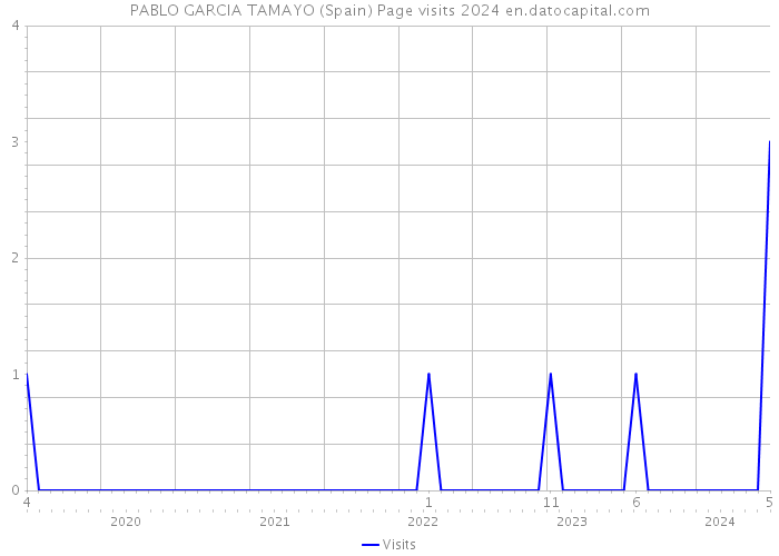 PABLO GARCIA TAMAYO (Spain) Page visits 2024 