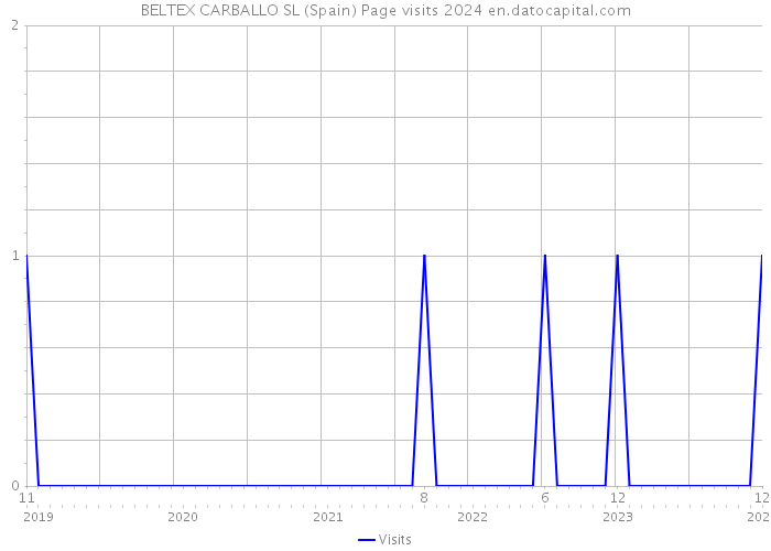 BELTEX CARBALLO SL (Spain) Page visits 2024 