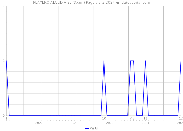 PLAYERO ALCUDIA SL (Spain) Page visits 2024 