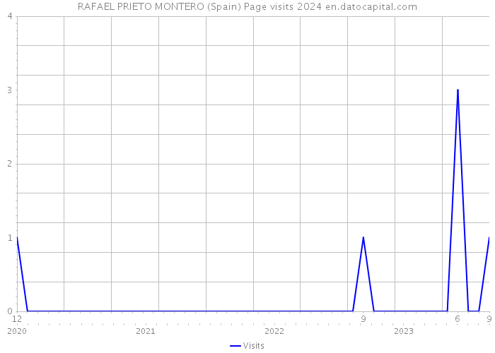RAFAEL PRIETO MONTERO (Spain) Page visits 2024 