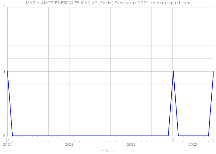 MARIA ANGELES ESCALER MACIAS (Spain) Page visits 2024 