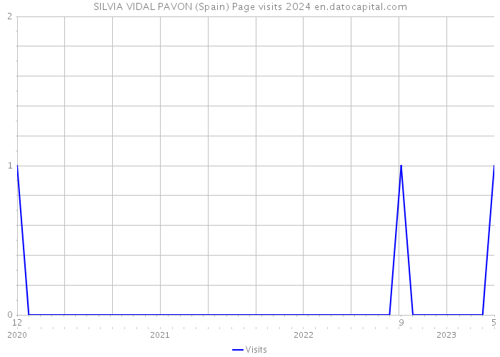 SILVIA VIDAL PAVON (Spain) Page visits 2024 