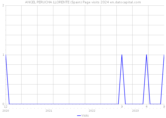 ANGEL PERUCHA LLORENTE (Spain) Page visits 2024 