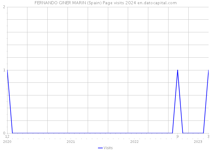 FERNANDO GINER MARIN (Spain) Page visits 2024 