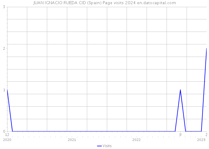JUAN IGNACIO RUEDA CID (Spain) Page visits 2024 