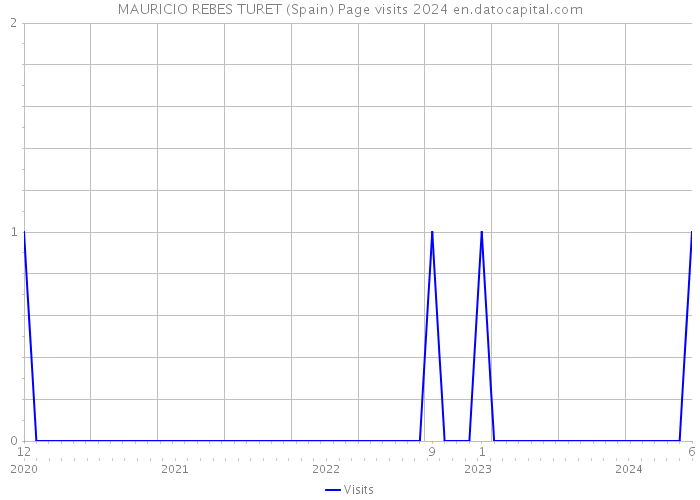 MAURICIO REBES TURET (Spain) Page visits 2024 