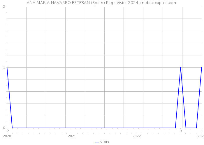 ANA MARIA NAVARRO ESTEBAN (Spain) Page visits 2024 