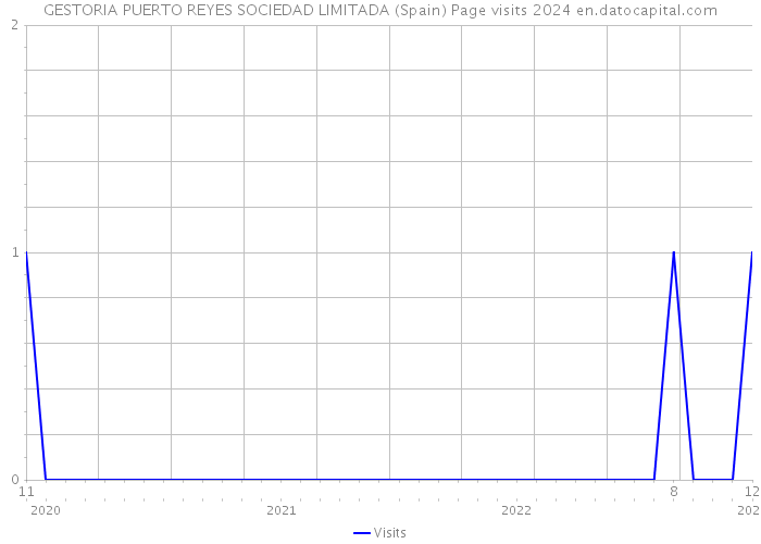 GESTORIA PUERTO REYES SOCIEDAD LIMITADA (Spain) Page visits 2024 