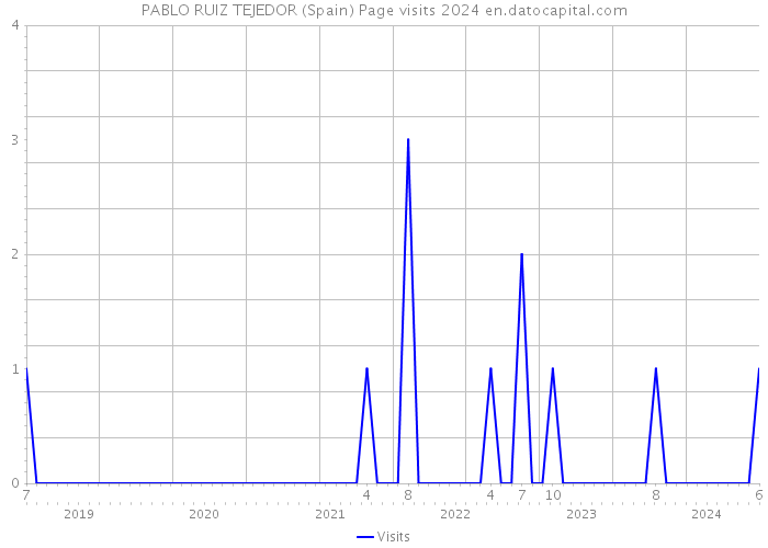 PABLO RUIZ TEJEDOR (Spain) Page visits 2024 