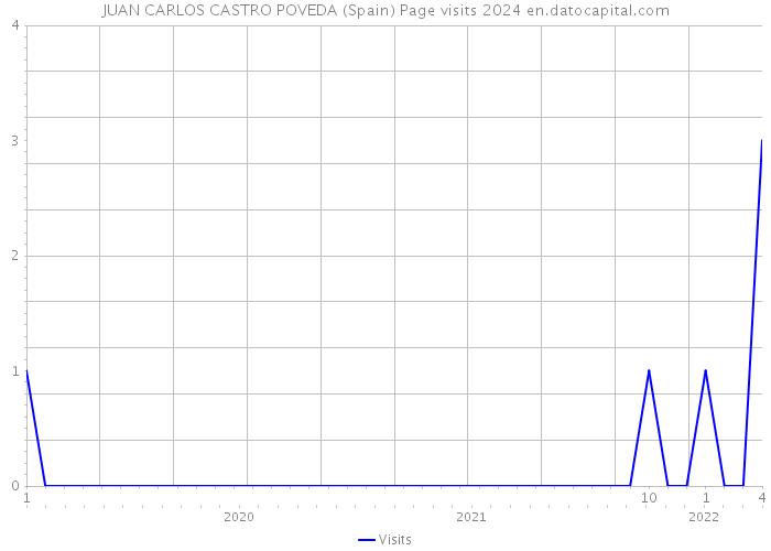 JUAN CARLOS CASTRO POVEDA (Spain) Page visits 2024 
