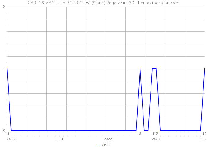 CARLOS MANTILLA RODRIGUEZ (Spain) Page visits 2024 