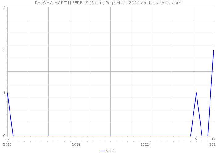 PALOMA MARTIN BERRUS (Spain) Page visits 2024 