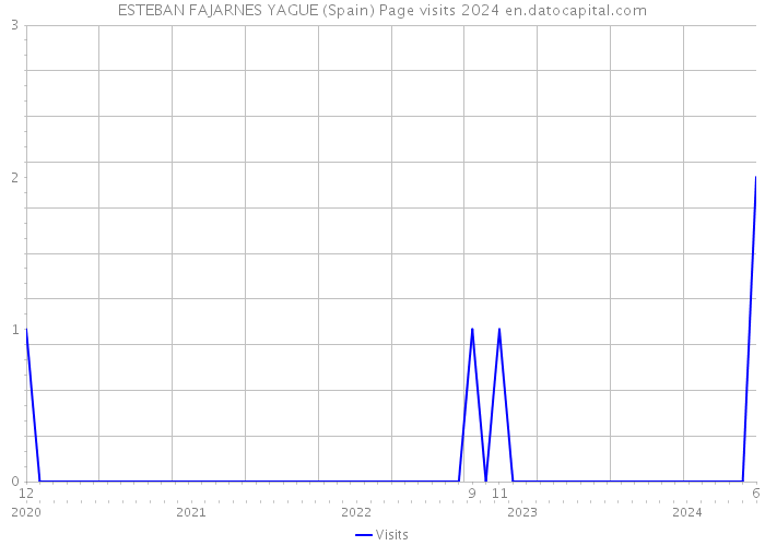 ESTEBAN FAJARNES YAGUE (Spain) Page visits 2024 