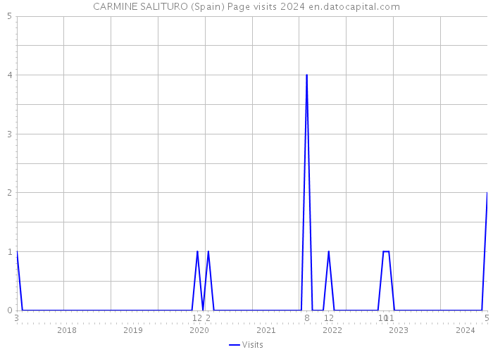 CARMINE SALITURO (Spain) Page visits 2024 