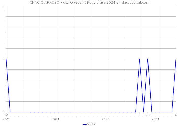 IGNACIO ARROYO PRIETO (Spain) Page visits 2024 