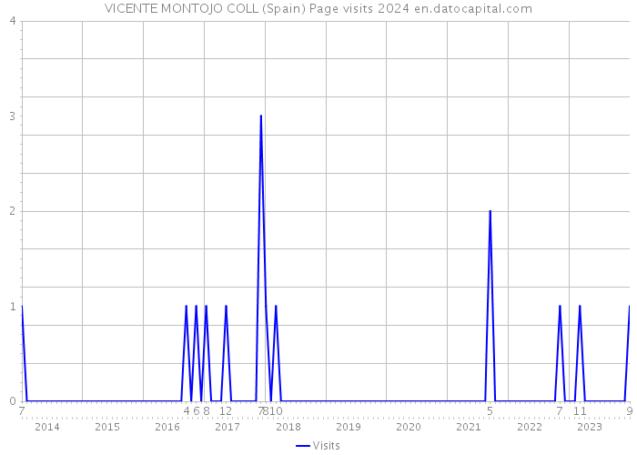 VICENTE MONTOJO COLL (Spain) Page visits 2024 